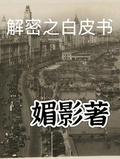 解密之白皮書