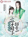 寵妻狂魔：太子殿下超專一