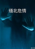 緬北危情