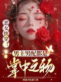惡女快穿！男主男配都是掌中之物