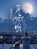 破案搭檔，身份不明