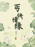 丐俠情緣