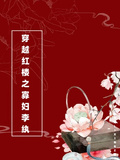 穿越紅樓之寡婦李紈