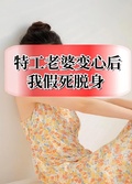特工老婆變心后，我假死脫身