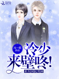 重生國民男神：冷少，來壁咚！