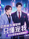 總裁他不懂愛情，只懂寵我