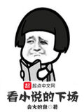 看小說的下場
