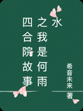 四合院故事之我是何雨水