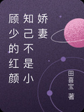 顧少的紅顏知己不是小嬌妻