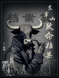 哀牢山致命檔案