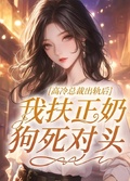 高冷總裁出軌后，我扶正奶狗死對頭