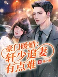豪門暖婚：軒少追妻有點難