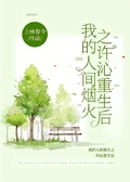 我的人間煙火之許沁重生后