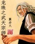 龍珠之武天宗師