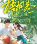 梧桐巷