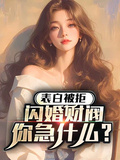 表白被拒，閃婚財閥你急什麼？