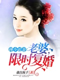 傅少追妻：老婆，限時復婚