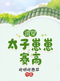 清穿：太子崽崽賽高