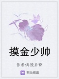 摸金少帥