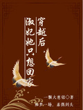 穿越后，淑妃她只想回家