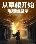 從草根開始崛起當皇帝