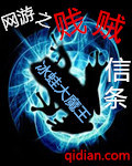 網游之賤賊信條