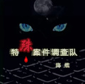 特殊案件調查隊