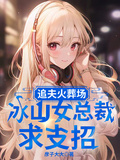 追夫火葬場，冰山女總裁求支招