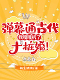 彈幕通古代，我嘎嘎拆了十樁婚！