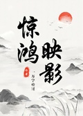 驚鴻映影