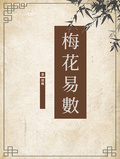 梅花易數