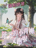 強制嬌寵，陛下的小青梅又跑啦