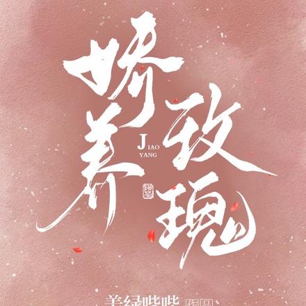 全網高質量高評分文