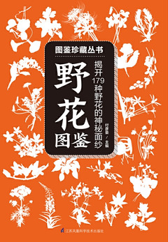 末日求生基礎知識